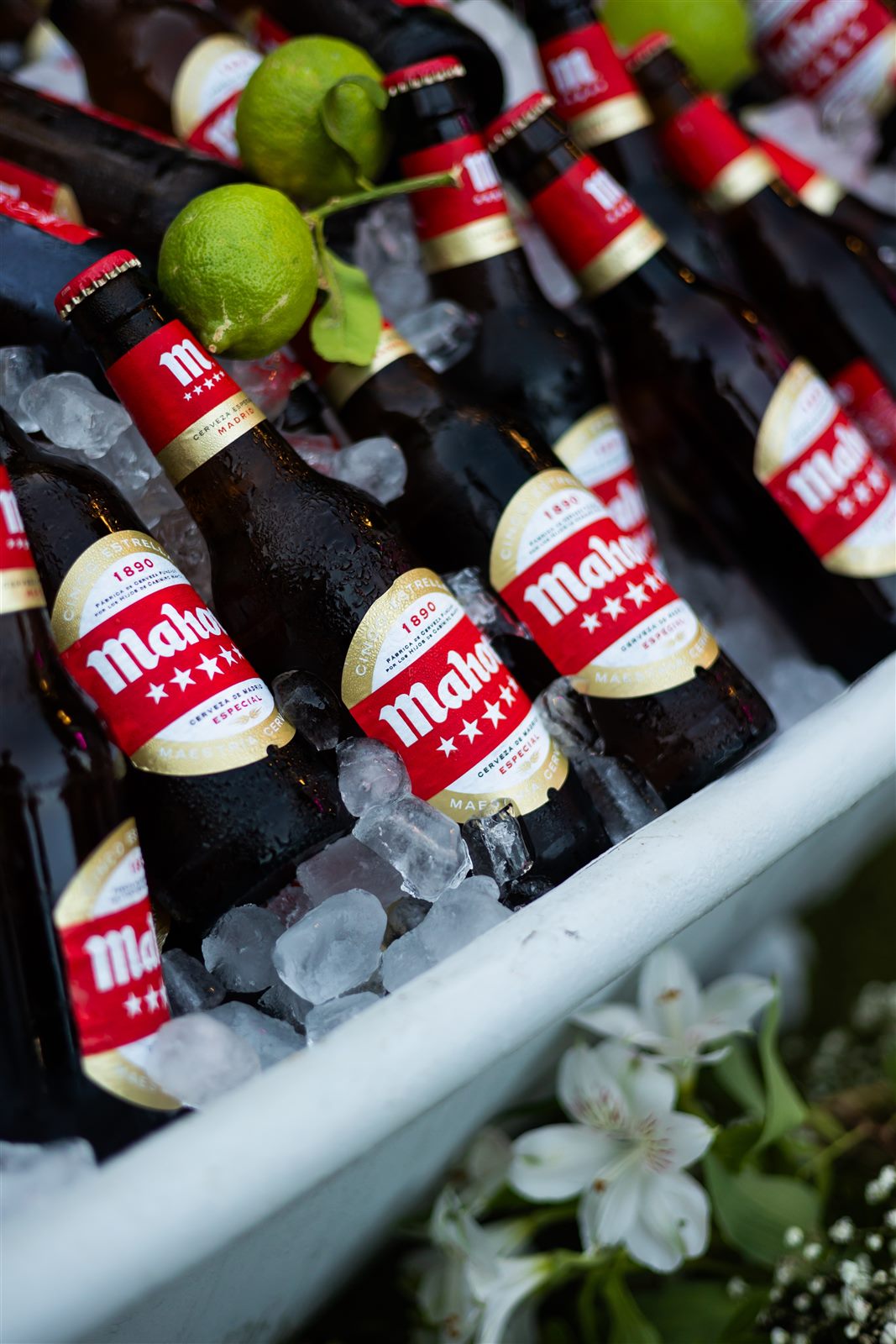 Cervezas sobre hielo