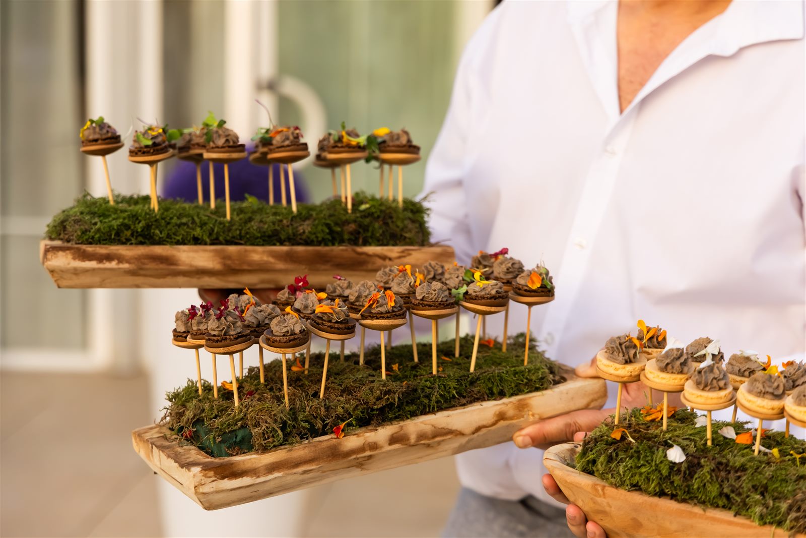 Canapés de autor