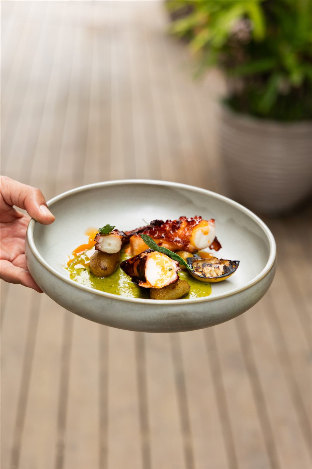 Contenido gastron&oacute;mico para redes